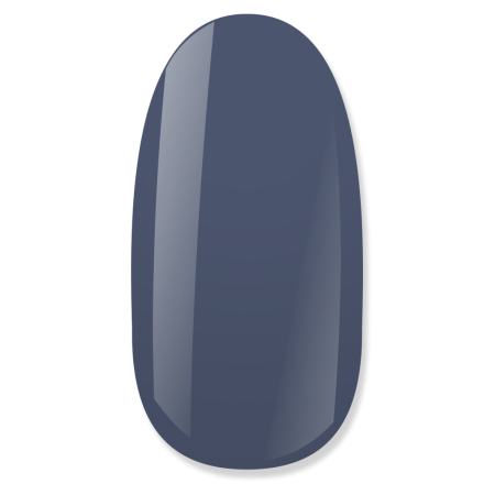 NiiZA Gel Polish 4ml - 050