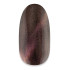 NiiZA Gel Polish 7ml - 185 Cat Eye