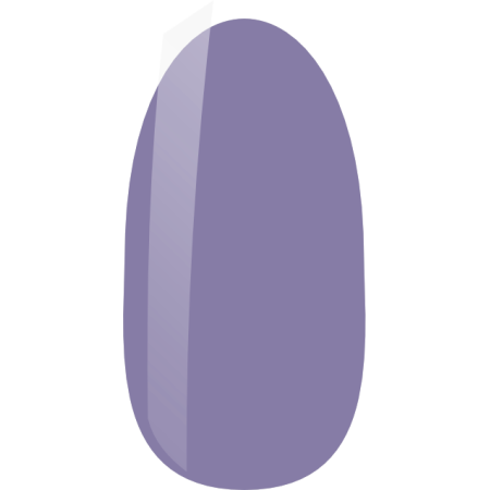 NiiZA Gel Polish 7ml - 419
