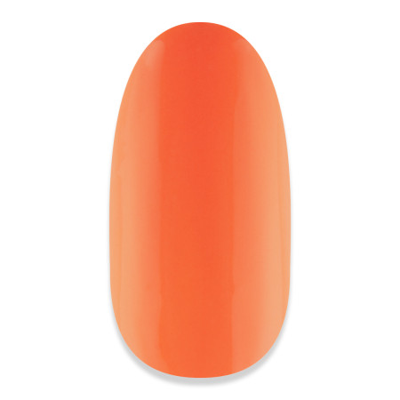 NiiZA Gel Polish 4ml - 042