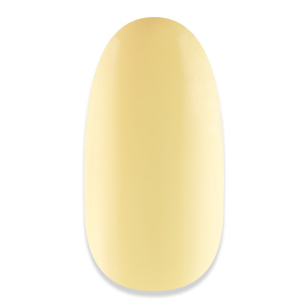 NiiZA Gel Polish 4ml - 070