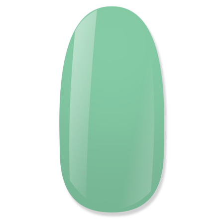 NiiZA Gel Polish 4ml - 063