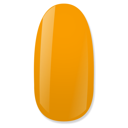 NiiZA Gel Polish 4ml - 134