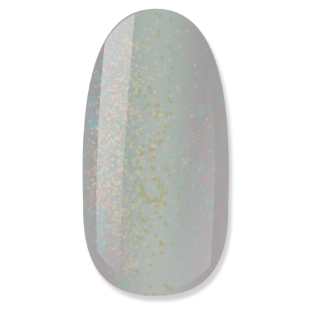 NiiZA Gel Polish 4ml - 386 Rainbow Hemamentes