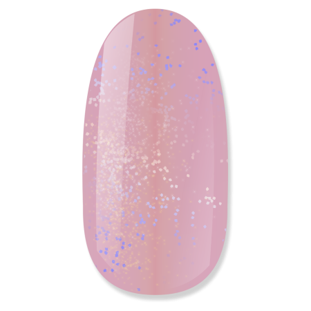 NiiZA Rubber Base Gel Holo Flakes II. 4ml